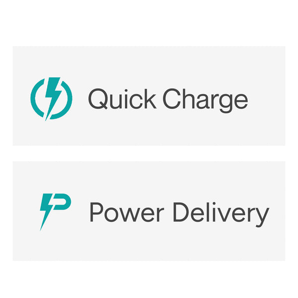 Charge i45 Fast Charging Adapter - Ambrane India