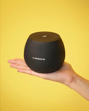 Speakers - Ambrane India