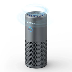 Car air purifier