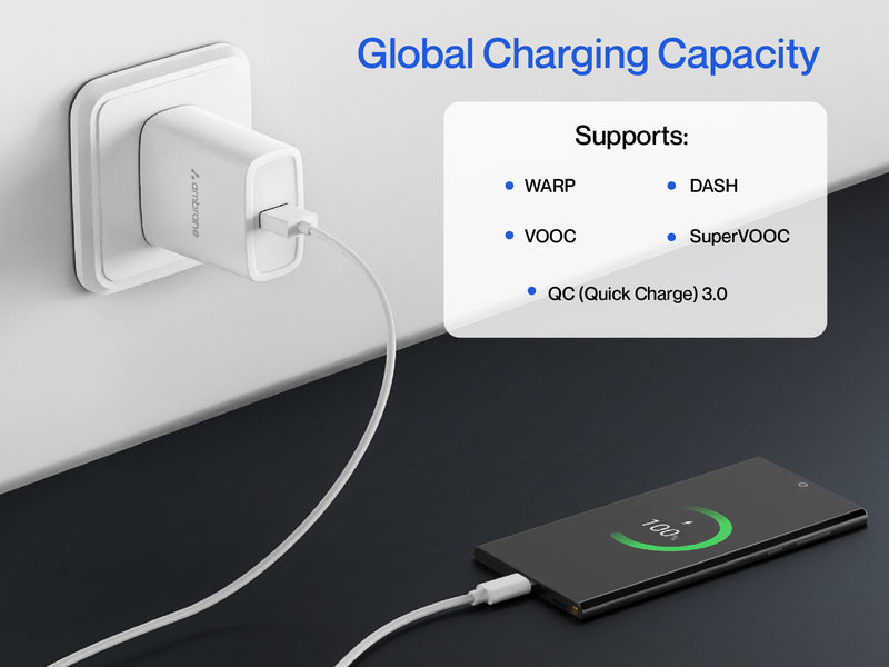 Ambrane AWC25 25W BoostedSpeed Charger