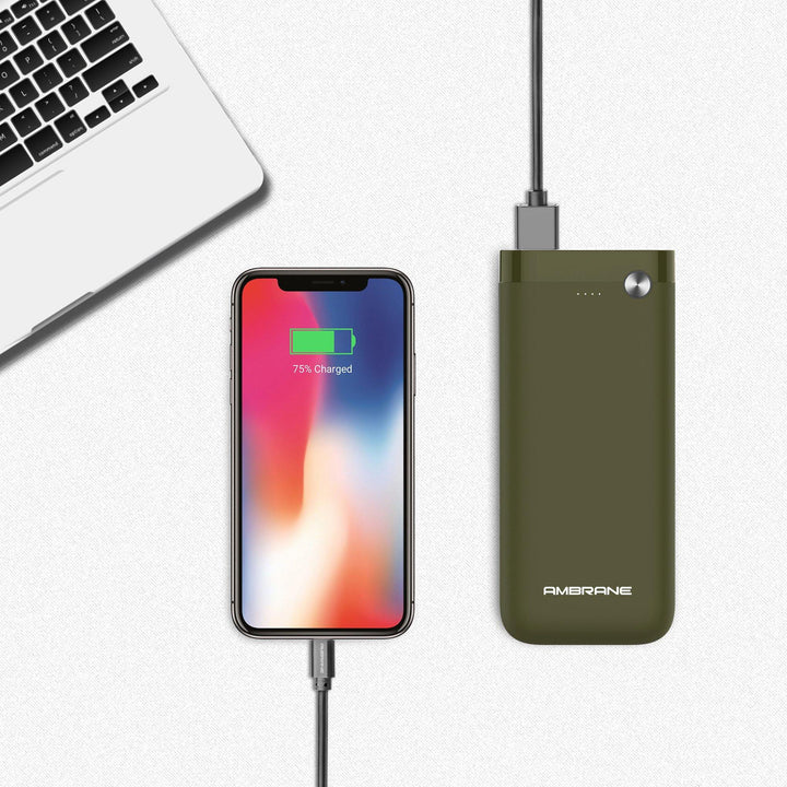 PP-20 20000 mAh Li-Polymer Powerbank with Dual Micro/ Type-C Input Fast Charging for Smartphone, Smart Watches, Neckbands & Other Devices, Made In India(Green) - AmbraneIndia