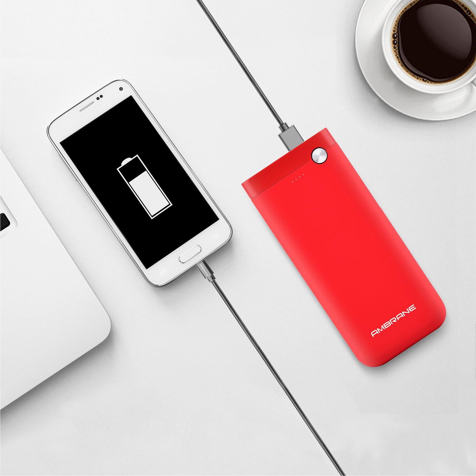 PP-20 20000 mAh Li-Polymer Powerbank with Dual Micro/ Type-C Input Fast Charging for Smartphone, Smart Watches, Neckbands & Other Devices, Made In India(Red) - AmbraneIndia