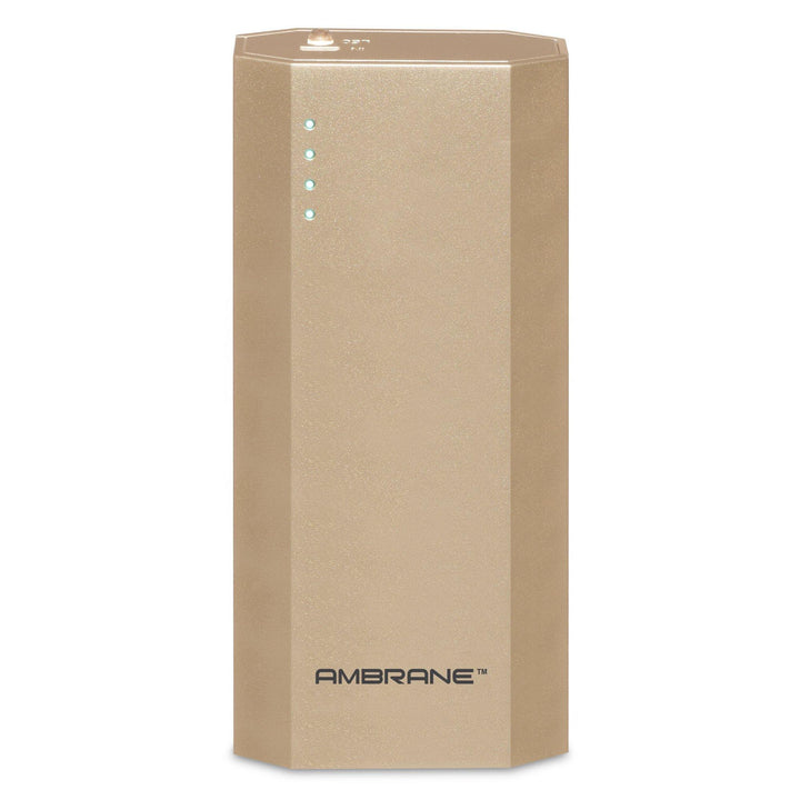 P-1111 10,000 mAh Power Bank - AmbraneIndia