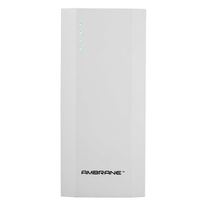 P-1111 10,000 mAh Power Bank - AmbraneIndia