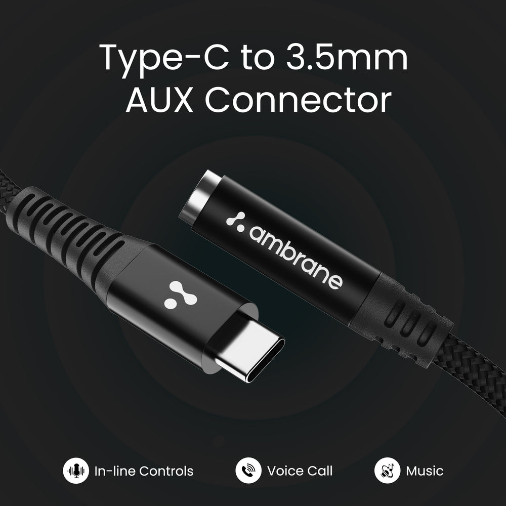 Type C to AUX Connector