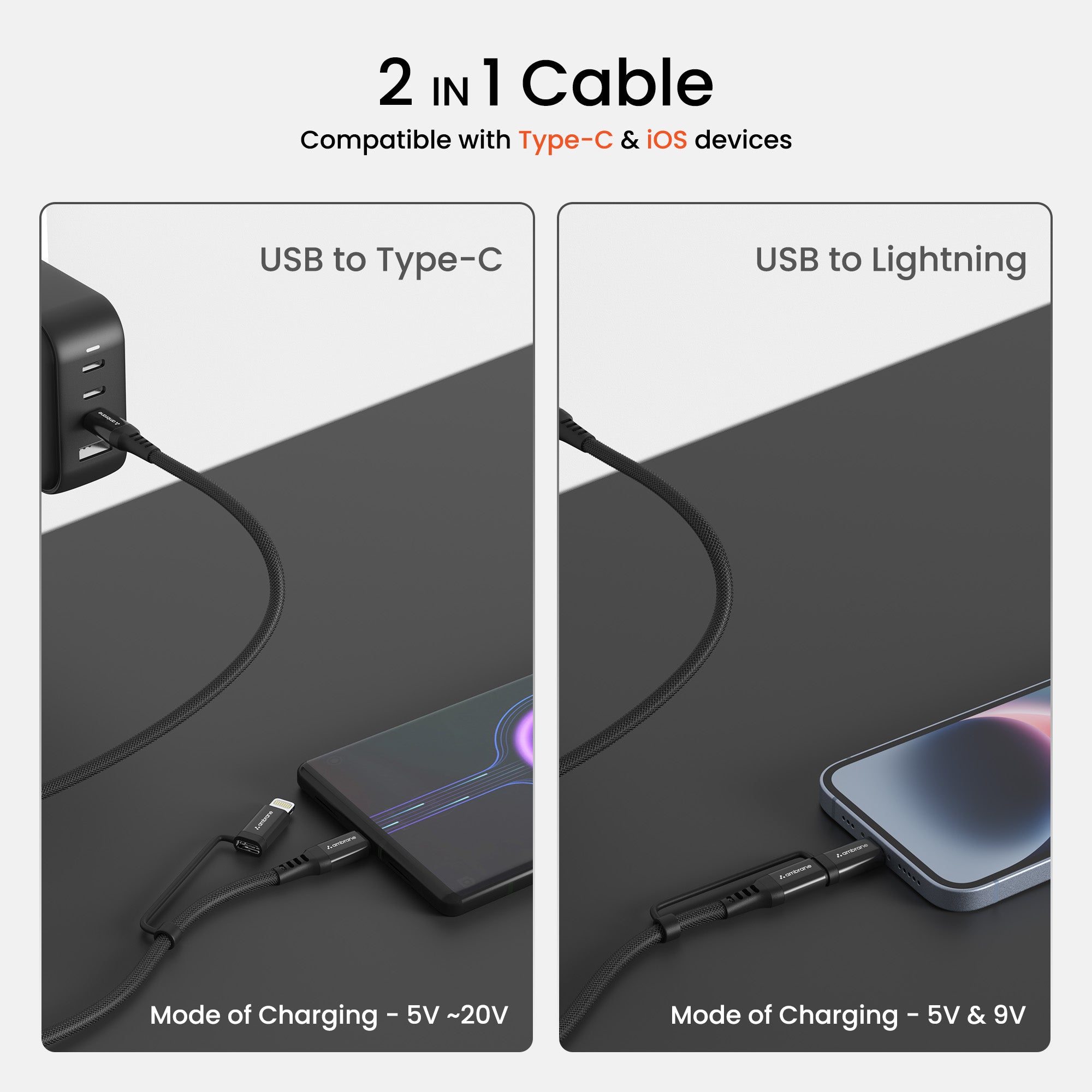 2 in 1 Cable