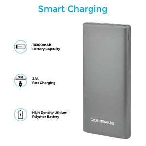 PP-125 10,000 mAh Lithium Polymer Power Bank (Silver), Power Bank Price in India - AmbraneIndia
