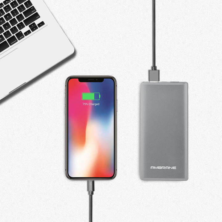 PP-125 10,000 mAh Lithium Polymer Power Bank (Silver), Power Bank Price in India - AmbraneIndia