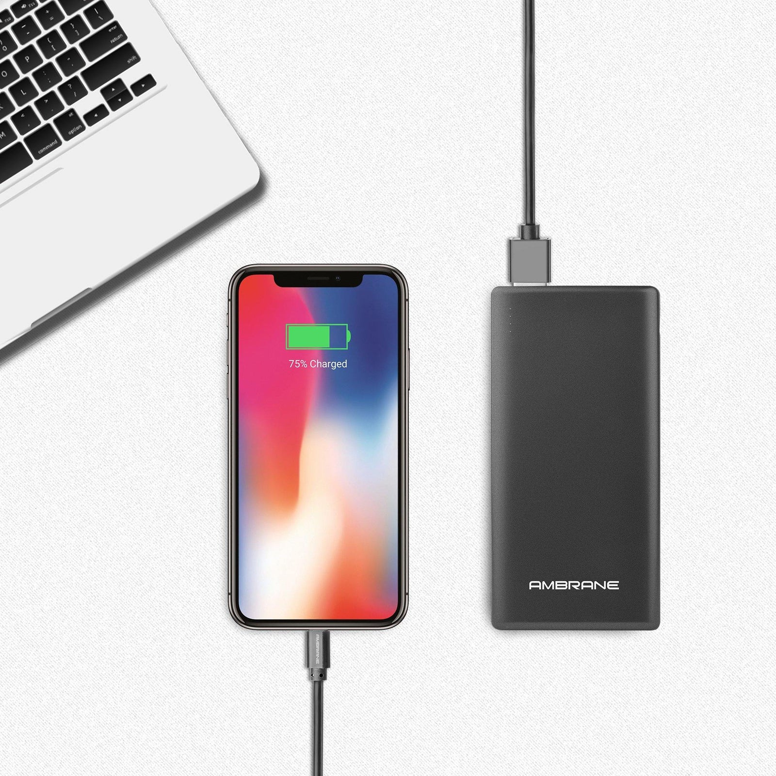 PP-125 10,000 mAh Lithium Polymer Power Bank (Black) | Best PowerBank in 10000mAh - AmbraneIndia